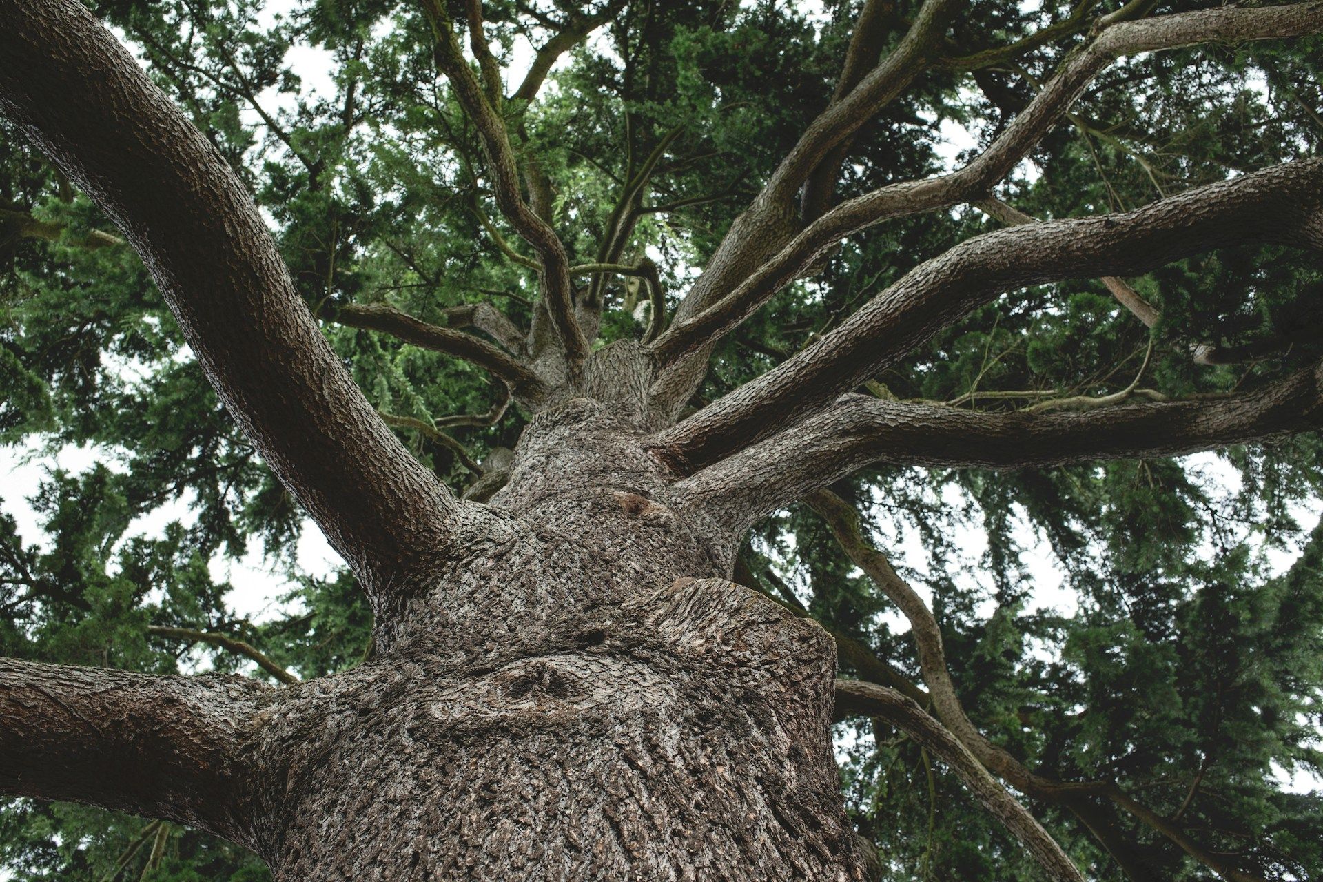 https://bucket-growthfaculty-strapi-prod-images.s3.ap-southeast-2.amazonaws.com/carly_reeves_V_b8r_Uk_T2d_Y_unsplash_c4b822f6c1.jpg